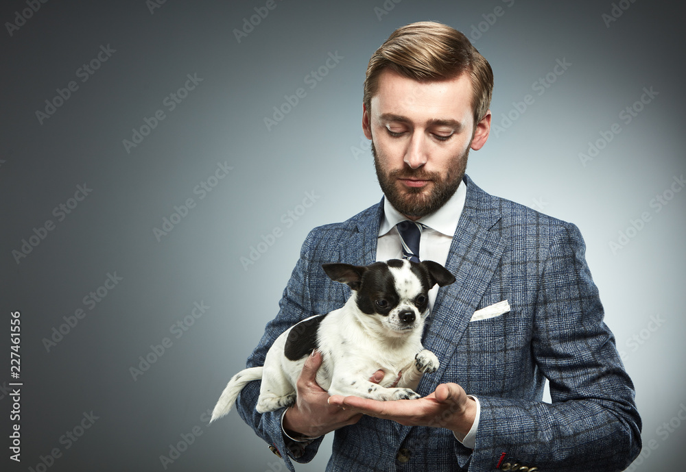 A man in a business suit with a chihuahua. A man in a business suit with a chihuahua.