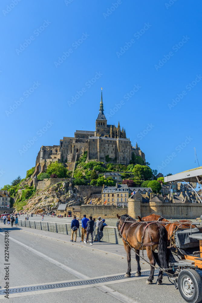 Naklejka premium View of Mont Saint Michel, Normandy, France. Copy space for text. Vertical.