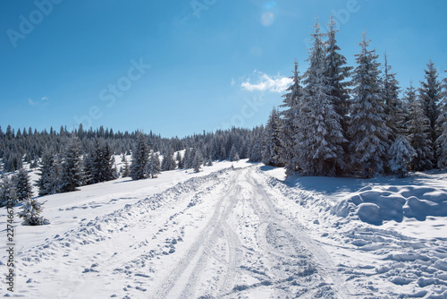 Fototapeta Naklejka Na Ścianę i Meble -  Snowy mountain country road
