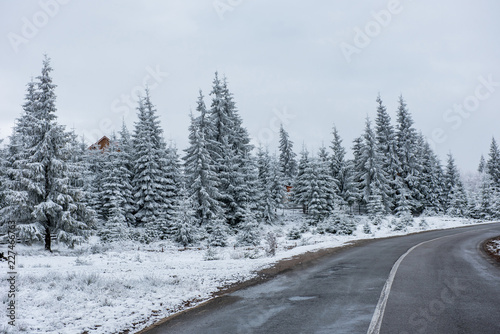 Winter asphalt road in forest