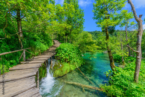 PLITVICE NATIONAL PARK  CROATIA - JUNE 8  2018  Tourist group by the lake in the Plitvice Lakes National Park.