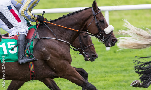 Close-up on horses racing © Gabriel Cassan