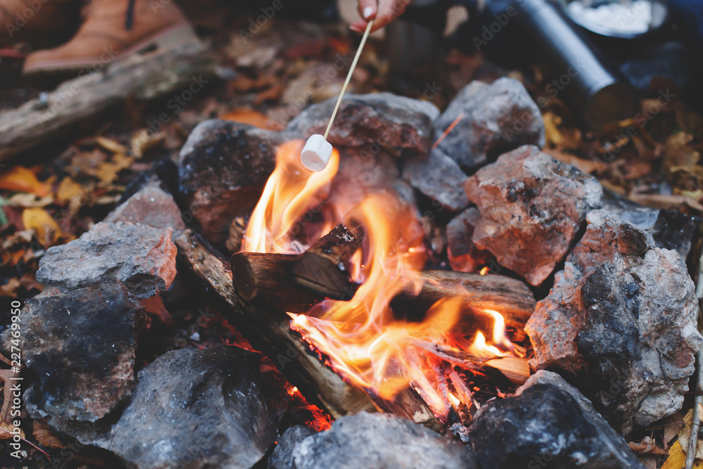 Friends roasting sweet marshmallow on a fire in the evening in the autumn forest. Friends roasting sweet marshmallow on a fire in the evening in the autumn forest.