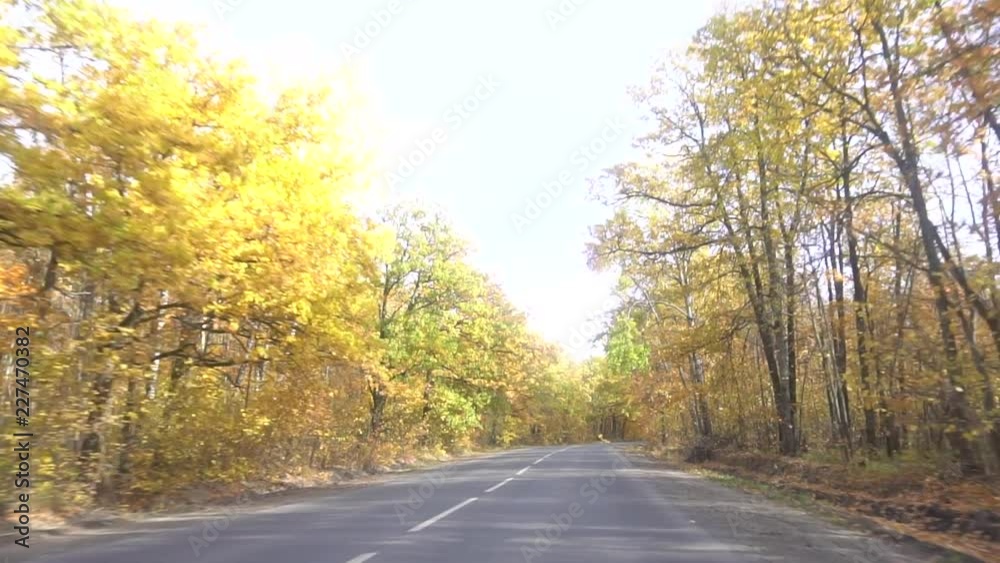autumn golden trees and country asphalt road autumn golden trees and country asphalt road