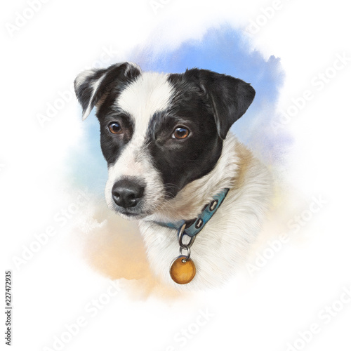 Realistic Portrait of a cute black and white puppy. Terrier is a mini dog, mans best friend. Watercolor hand drawn illustration. Good for print T-shirt, banner, card, pillow. Art background for design photo