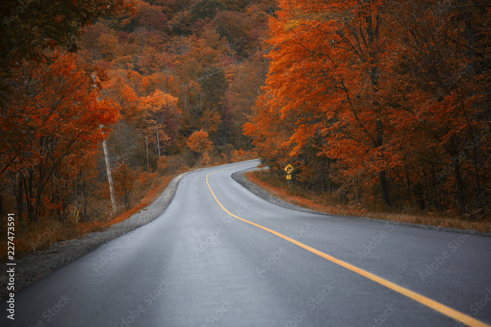 On the way to Muskoka, Ontario, Canada, chasing gold colours of Fall On the way to Muskoka, Ontario, Canada, chasing gold colours of Fall