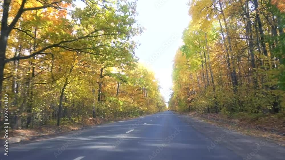 autumn golden trees and country asphalt road autumn golden trees and country asphalt road