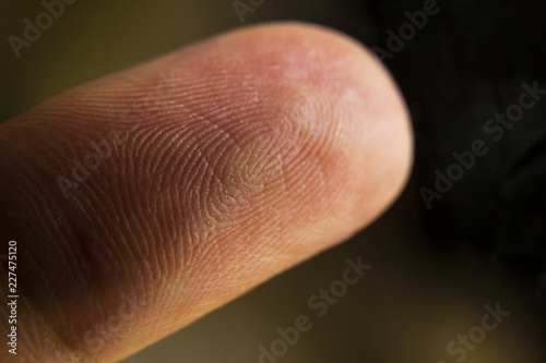 An extreme macro closeup of a fingertip