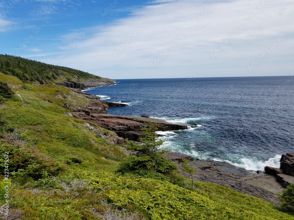 coastline along the East Coast Trail, Bay Bulls, Newfoundland, Canada