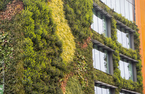 Canvas Print Living wall