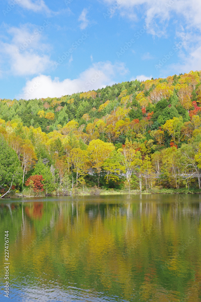 秋の志賀高原（木戸池）