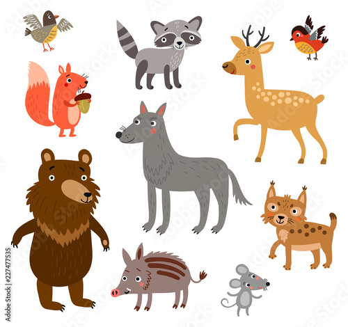 Forest Animals