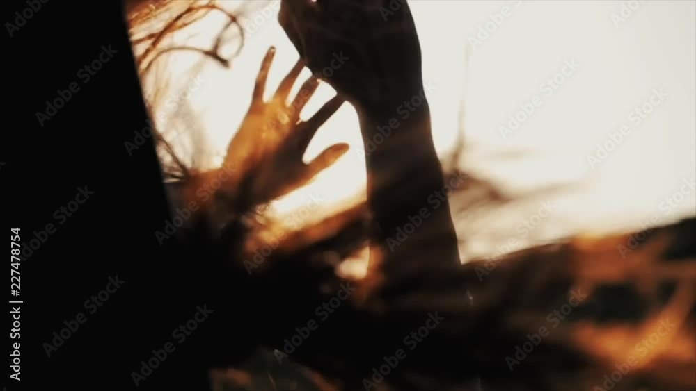Close view of girl s long hair waving by wind and her hands playing with them while she is riding a car and looking out of the window. Rear view