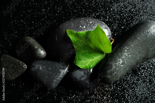 Photography black massage stones and plants