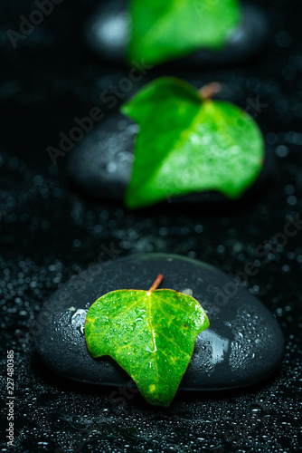 Photography black massage stones and plants