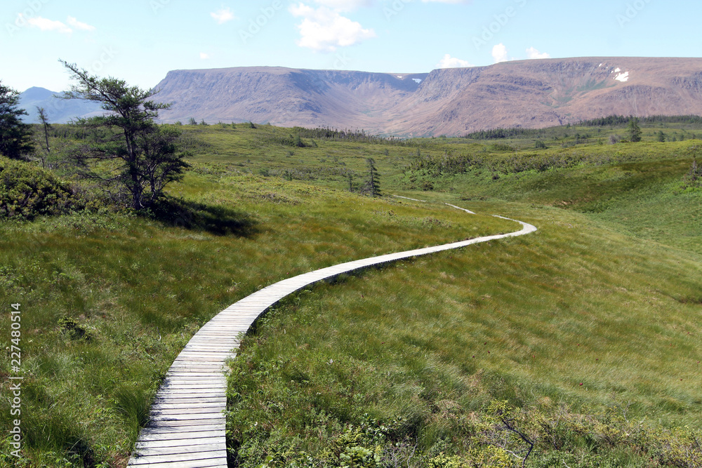 boardwalk to Lookout Hill, Gros Morne National Park, Newfoundland, Canada boardwalk to Lookout Hill, Gros Morne National Park, Newfoundland, Canada