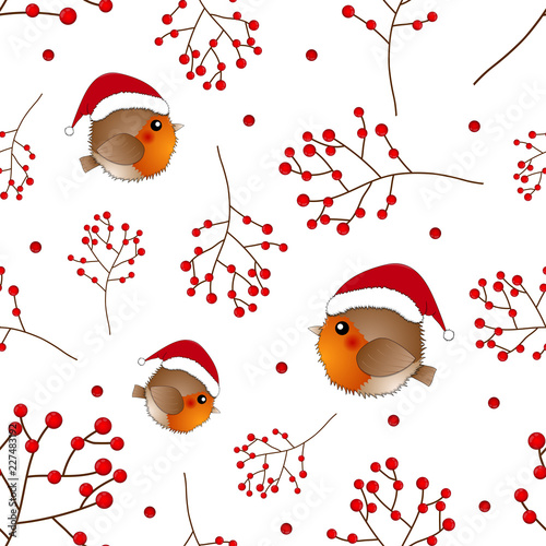 Red Robin Bird Santa Claus ...