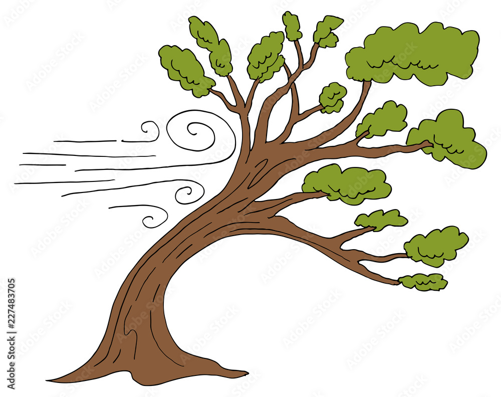 Leaning Windy Day Bending Tree Stock Vector Adobe Stock
