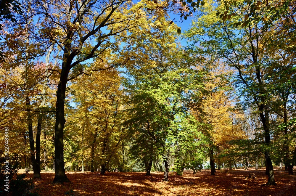 Park Stromovka, Prague, Czech Republic