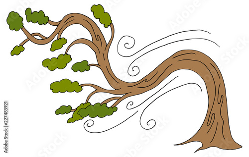 Curving Windy Day Bending Tree