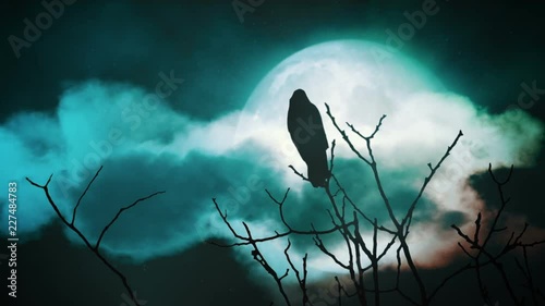 Silhouette of a tree with a crow and full moon at midnight.