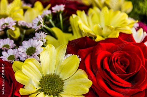  flowers roses and gerberas