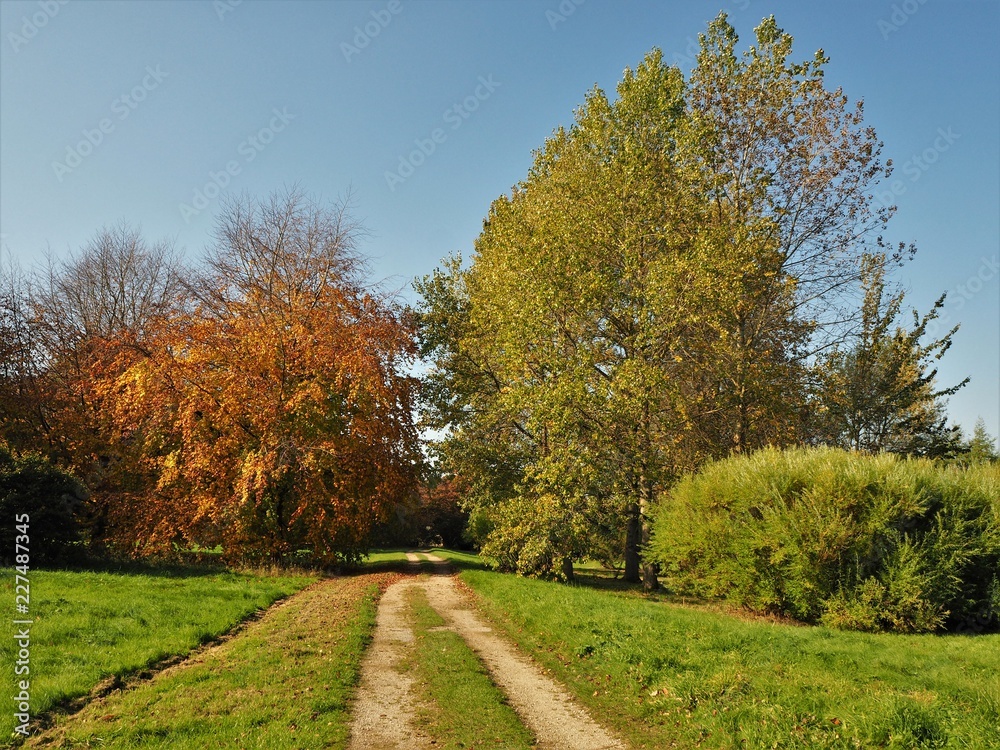 Track in the Yorkshire Arboretum, North Yorkshire, England, in early autumn
