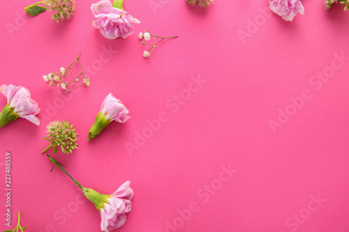 Beautiful flowers on color background © Pixel-Shot