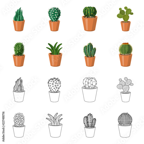 Vector illustration of cactus and pot sign. Set of cactus and cacti stock vector illustration.