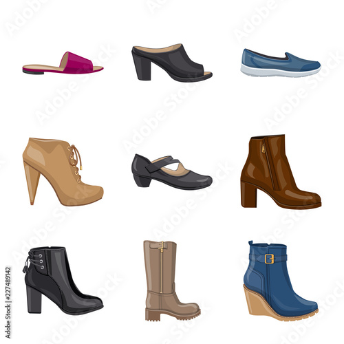 Vector illustration of footwear and woman sign. Collection of footwear and foot stock symbol for web.