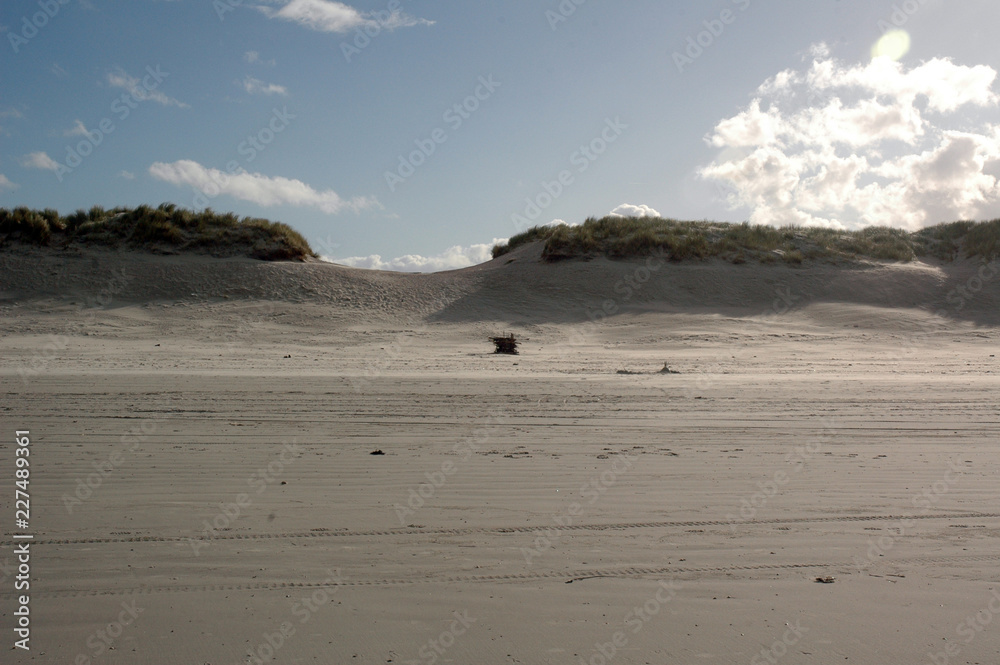 beach and sand dunes beach and sand dunes