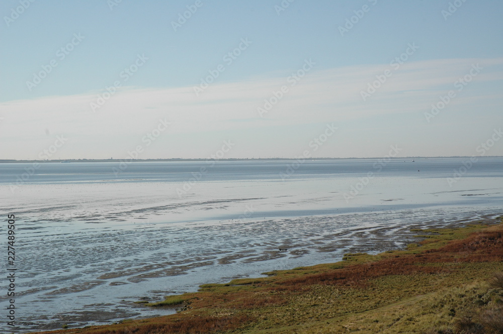 Wadden sea and blue sky