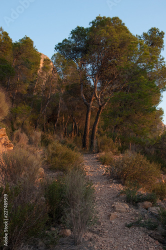 mountain landscape, nature walk and beautiful views of mediterranean landscapes
