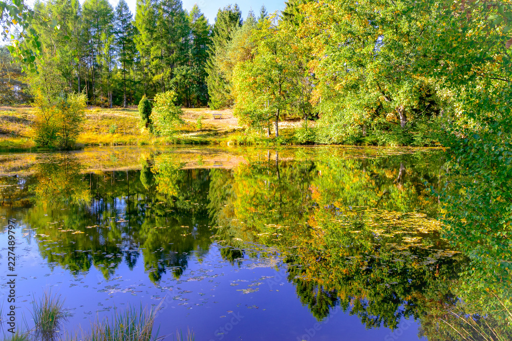 Pastor Bode Teich in der Lüneburger Heide bei Wesel Undeloh Stock Photo