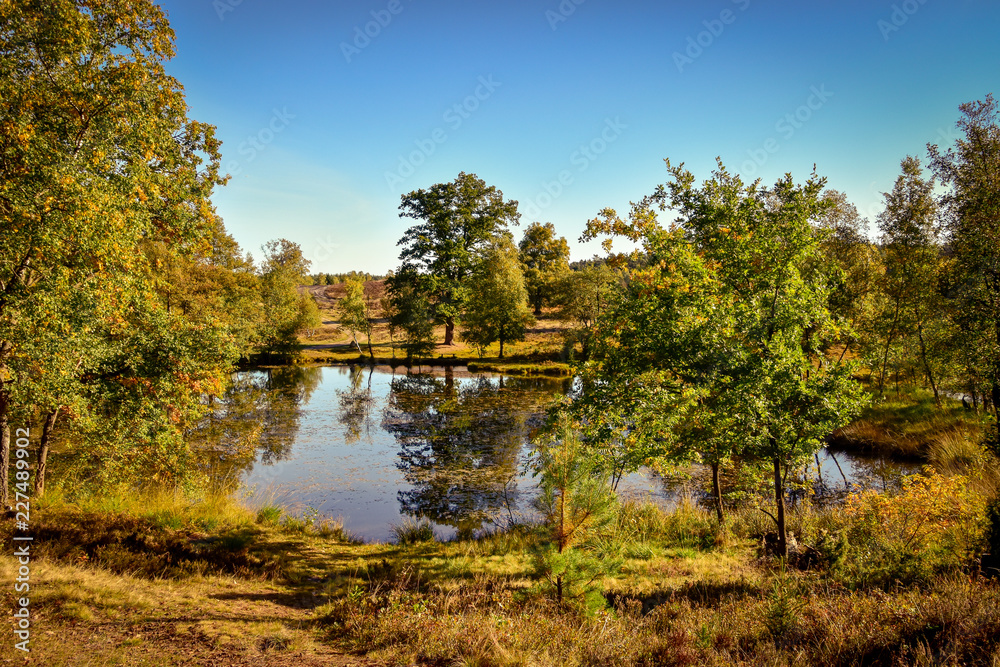 Foto de Pastor Bode Teich in der Lüneburger Heide bei Wesel Undeloh do