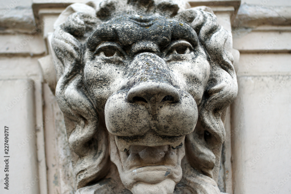 Sculpture of lion head on a marble wall close-up