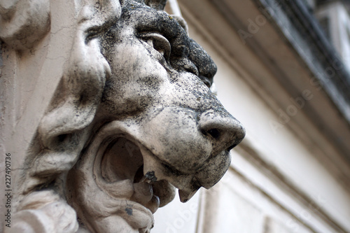 Sculpture of lion head on a marble wall close-up