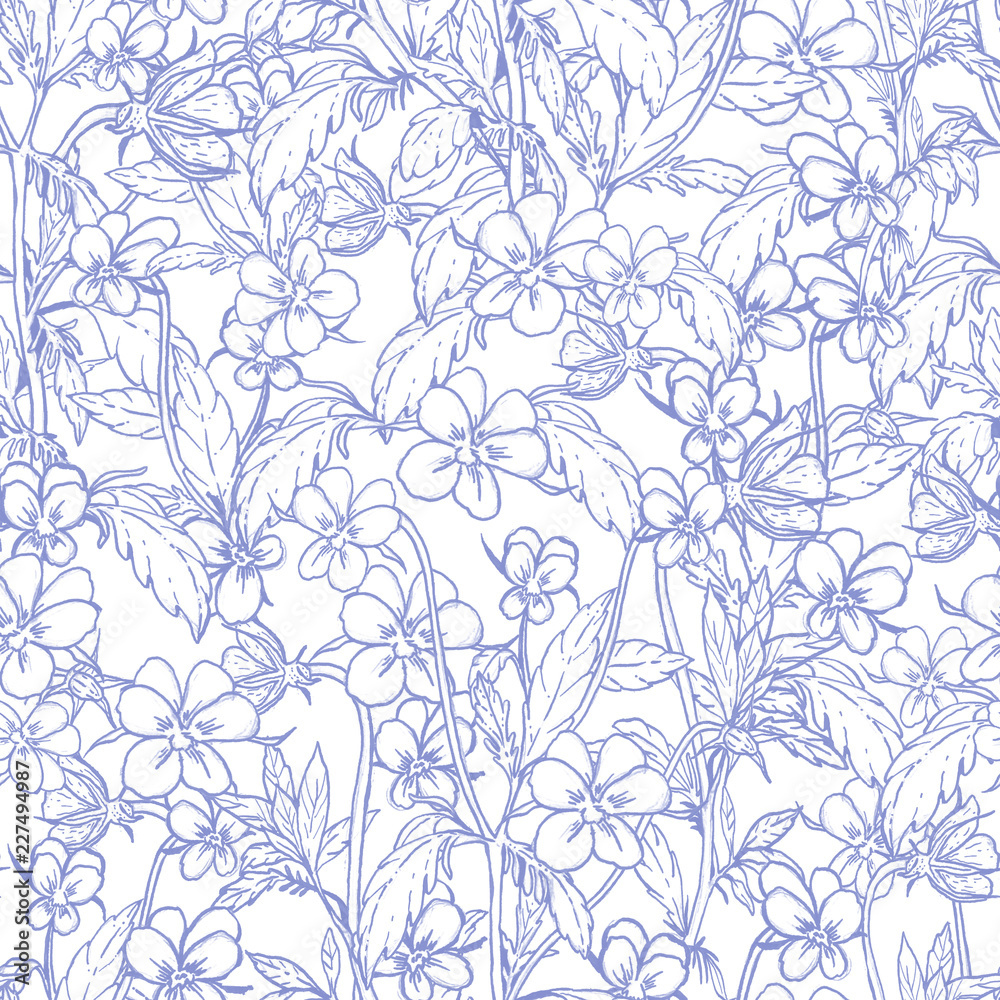 Floral seamless pattern. Ink hand-drawn elements. Modern design/pansies, pansy, heartsease, kiss-me-quick, love-in-idleness flowers