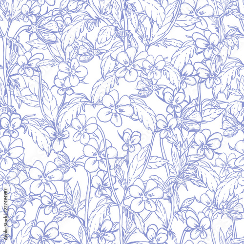 Floral seamless pattern. Ink hand-drawn elements. Modern design pansies  pansy  heartsease  kiss-me-quick  love-in-idleness flowers