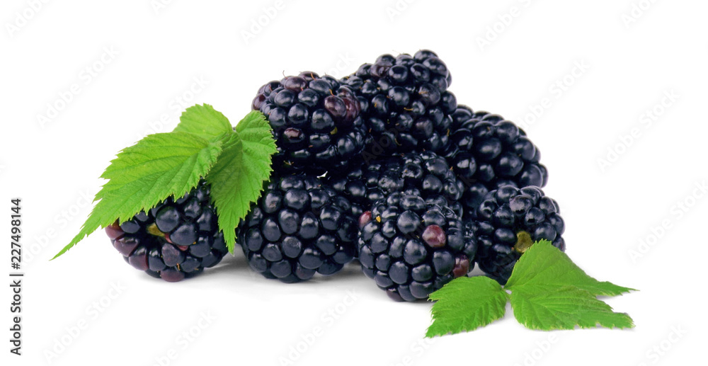 Ripe blackberries with leaves. Isolated on white. Curative berry. Diet. Ripe blackberries with leaves. Isolated on white. Curative berry. Diet.