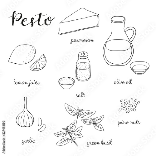 Pesto sauce outline ingredients.