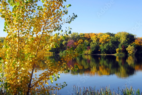 Fototapeta Naklejka Na Ścianę i Meble -  Autumn landscape - river with autumn golden trees at the bank. Autumn colorful forest nature.