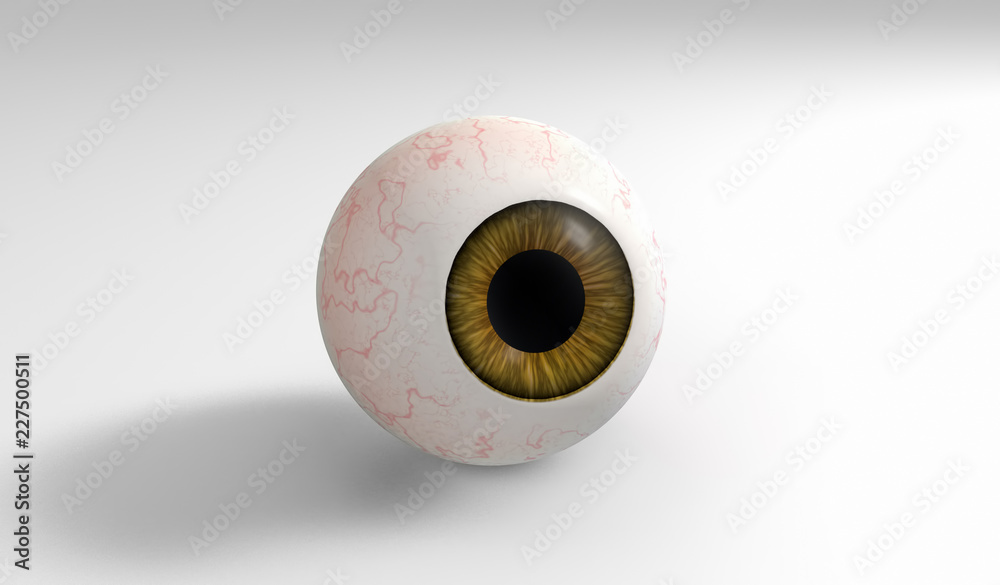 Realistic human eyeball with brown iris isolated on white background. 3D render Realistic human eyeball with brown iris isolated on white background. 3D render