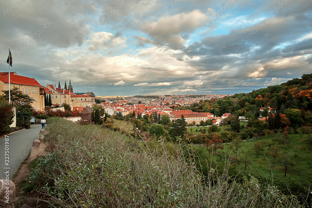 View of Old Town Prague from a vineyard on a hill in Prague, Czech Republic. Looking down a hill from a vineyard. St Vitus Cathedral and Prague Castle in the background, a vineyard in the foreground