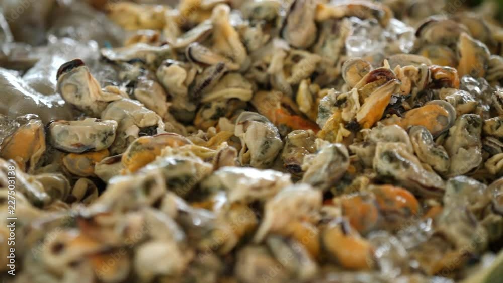 Thai Oysters with Egg and Bean Sprouts - Traditional Thai Recipes Market Food. Thai Oysters with Egg and Bean Sprouts - Traditional Thai Recipes Market Food.