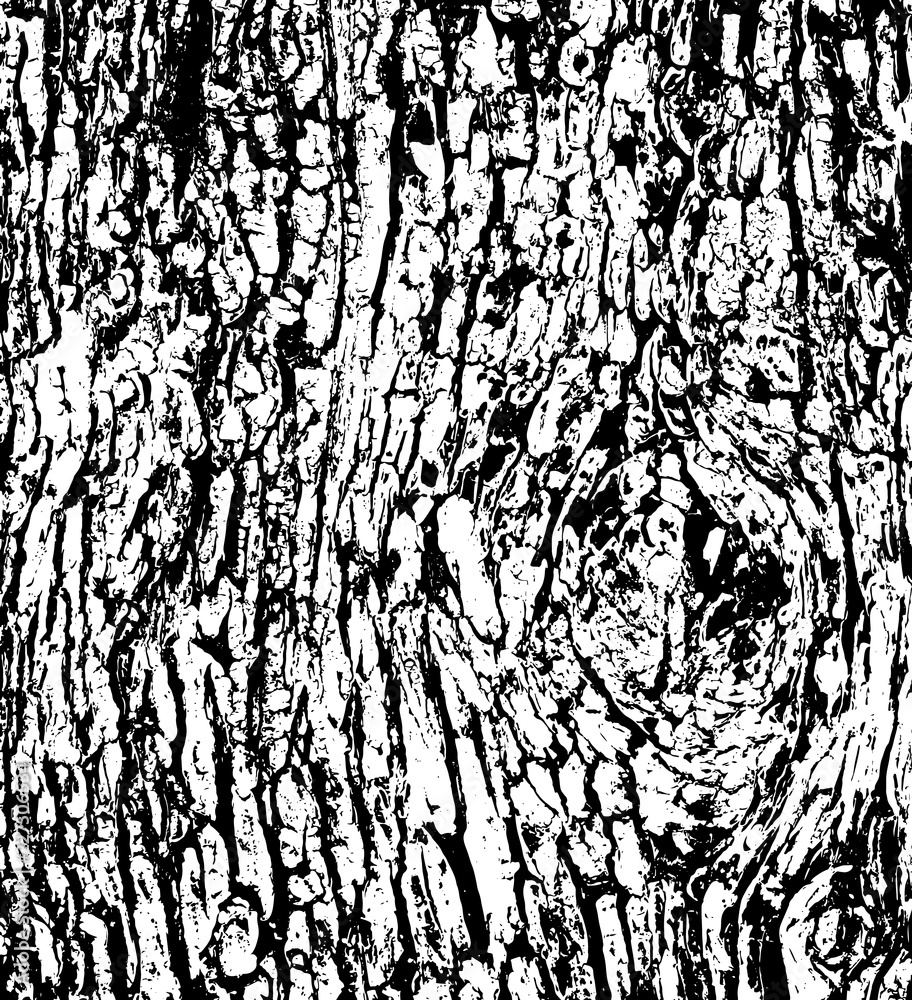 Tree bark texture background vector