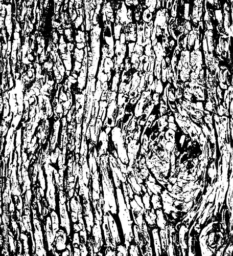 Tree bark texture background vector