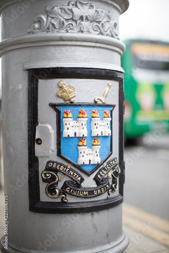 Photography Dublin Ireland Seal