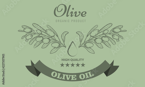 Olive oil package design for label with vintage sketch style. Vector Illustration.