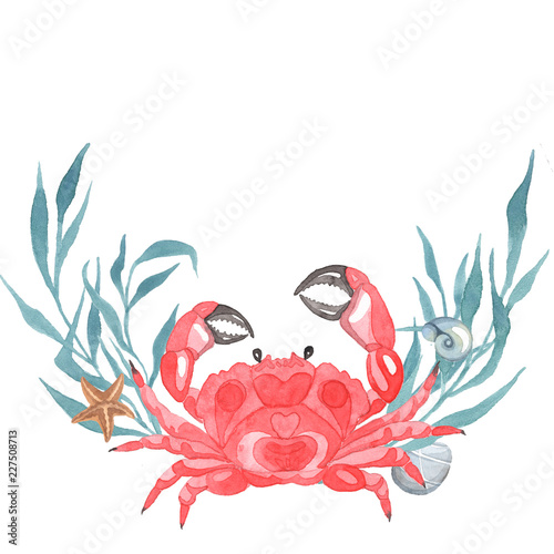 Marine theme. Crab on a white background. Watercolor Handpainting.